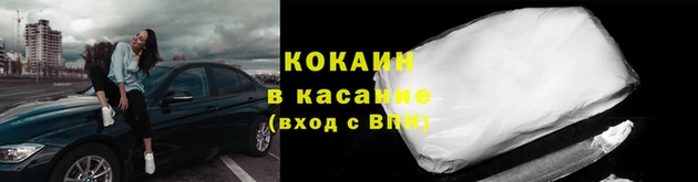 шишки Арсеньев