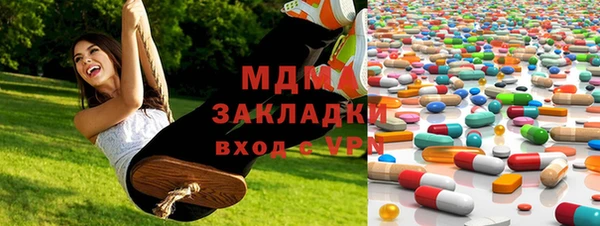 шишки Арсеньев