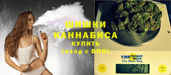 шишки Арсеньев