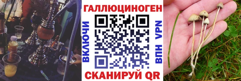 Галлюциногенные грибы GOLDEN TEACHER  Чадан 